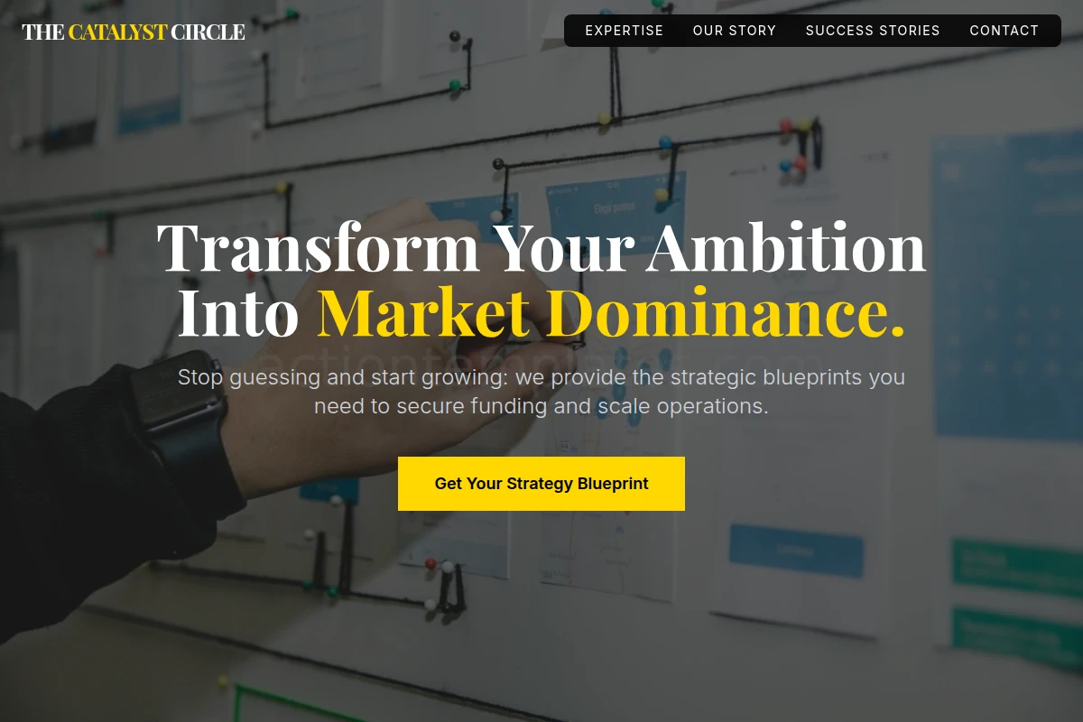 Analyzer Business Plan
